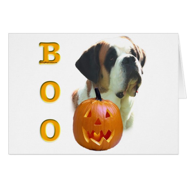 Saint Bernard (glatt) Boo (Vorderseite (Horizontal))