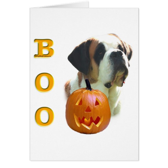 Saint Bernard (glatt) Boo (Vorne)