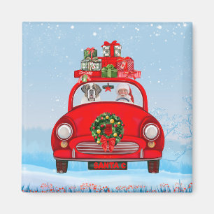 Saint Bernard Hund in Auto mit dem Weihnachtsmann Magnet