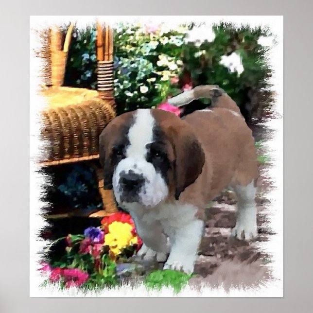 Saint Bernard Kunstgeschenke Poster (Vorne)