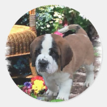 Saint Bernard Kunstgeschenke