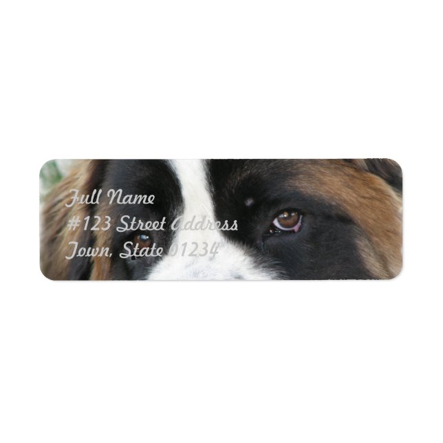Saint Bernard Mailing Label (Vorne)