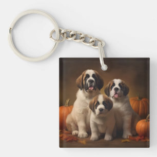 Saint Bernard Puppy Automne Citrouille