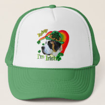 Saint Bernard St Patricks