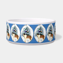 Saint Bernard Weihnachten