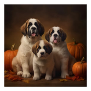 Saint Bernard Welppy Herbst Kürbis Poster