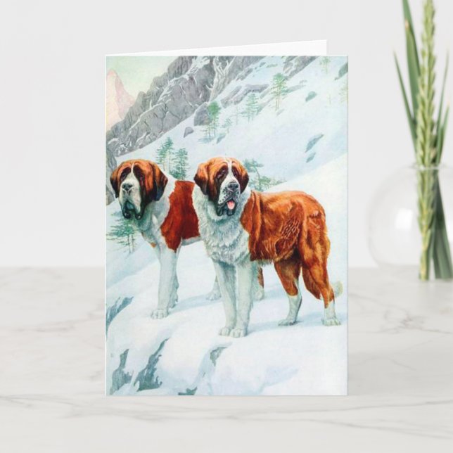 Saint Bernards auf einer verschneiten Bergbild Karte (Vorderseite)