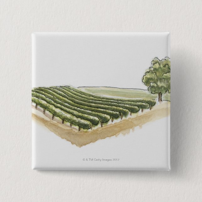 Saint-Emilion, Frankreich Button (Vorderseite)