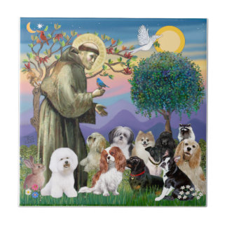 Saint Francis mit 10 Hunden Fliese