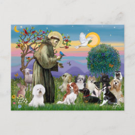 Saint Francis mit 10 Hunden Postkarte