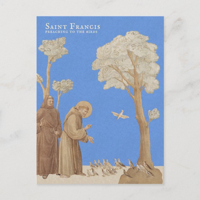 Saint Francis predigen den Vögeln CC1164 Postkarte (Vorderseite)