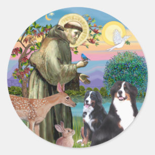 Saint Francis - Zwei Berner Hunde Runder Aufkleber