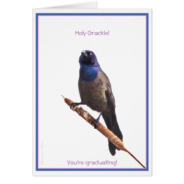 Saint Grackle ! Vous êtes diplômé : (Devant)