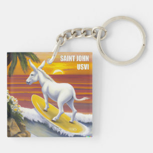 Saint John US Virgin Islands Funny Donkey Surfing
