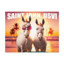 Saint John USVI Donkeys auf Beach Funny Unique