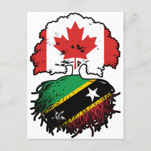 Saint Kitts Kittitian Canadian Canada Tree Roots Postkarte