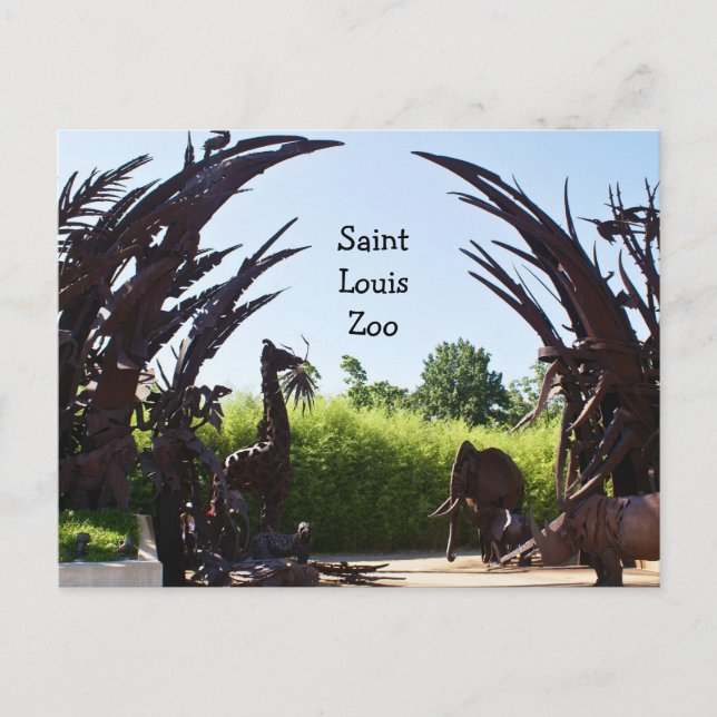 Saint Louis Zoo Postkarte (Vorderseite)