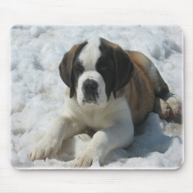 Saint_mousepad Mousepad (Vorne)