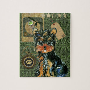 SAINT PATTY YORKIE POO