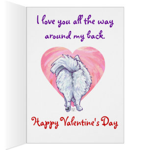 Saint Valentin Poméranie Blanche