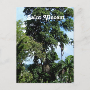 Saint Vincent Island Postkarte