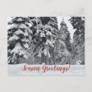 Saison Grüße aus Tahoe City! Postkarte