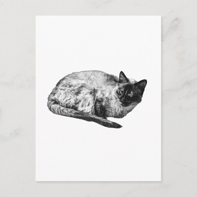 Saison in sanftem Kontrast Postkarte (Vorderseite)