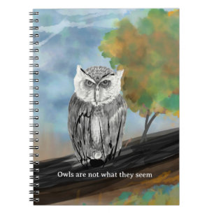 Saisonale Owl Malerei in Nature Wonders Notizblock