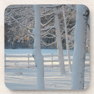 Saisonaler Untersetzer