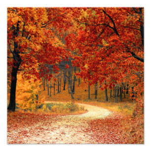 Saisonfarben des Herbstes Fotodruck