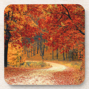 Saisonfarben des Herbstes  Getränkeuntersetzer
