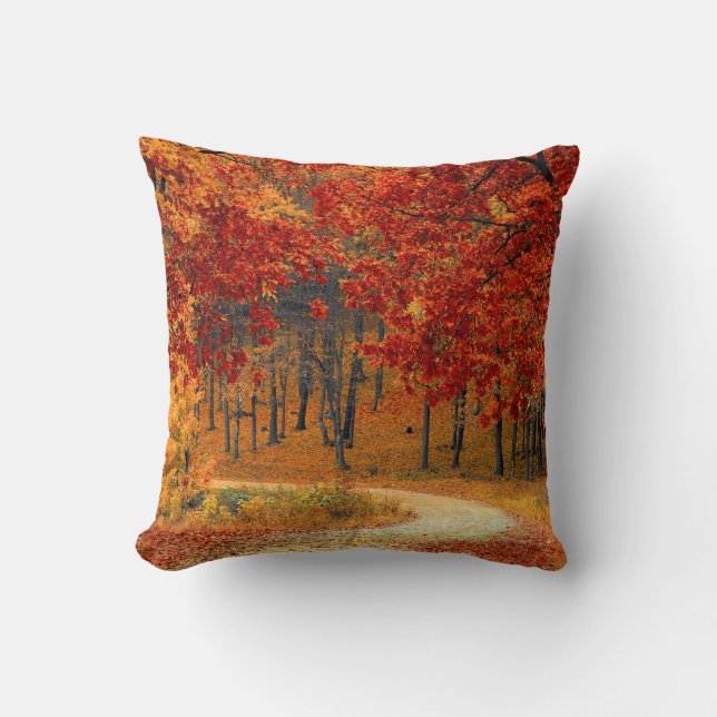 Saisonfarben des Herbstes Kissen (Vorderseite)