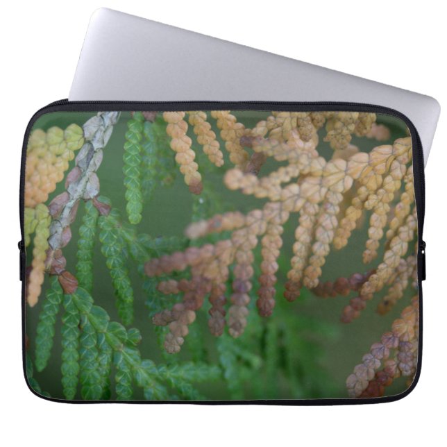 Saisons Laptopschutzhülle (Vorderseite)