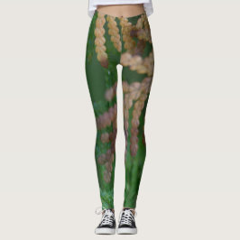 Saisons Leggings