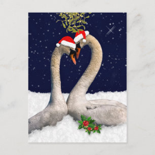 Saisonschwäne Weihnachtspostkarte Feiertagspostkarte