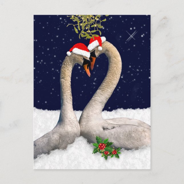Saisonschwäne Weihnachtspostkarte Feiertagspostkarte (Vorderseite)