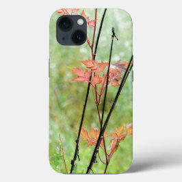 Saisonwechsel, Herbstlaube im grünen Feld, Case-Mate iPhone Hülle