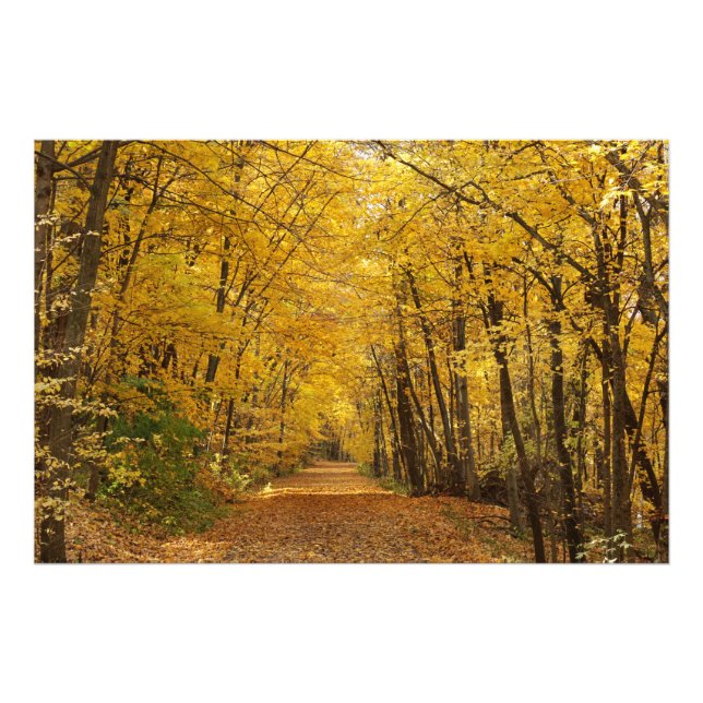 Sakatah Singing Hills State Trail Photo Imprimer (Devant)
