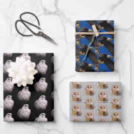 Sakerfalke/Adler/Barschenauge Geschenkpapier Set