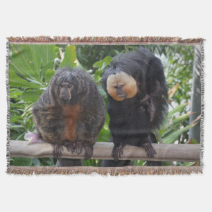 Saki Monkeys Decke