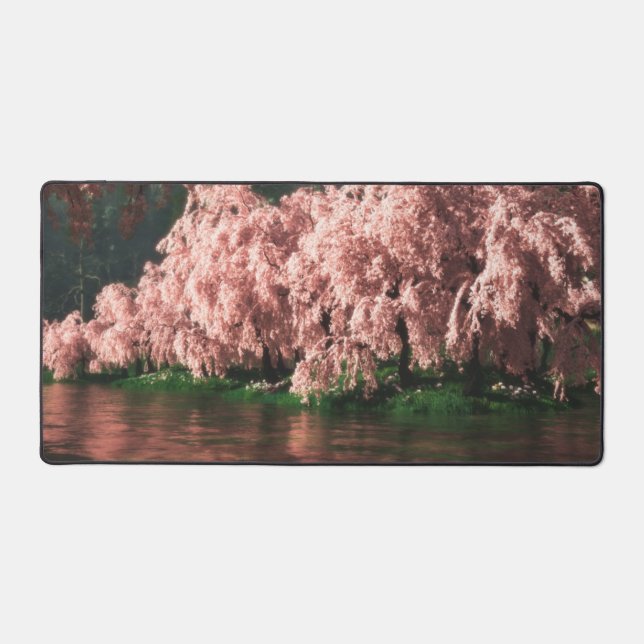 Sakura (Recto)