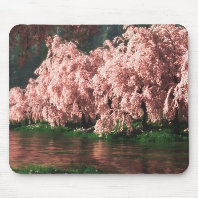Sakura (2013) mousepad (Vorne)