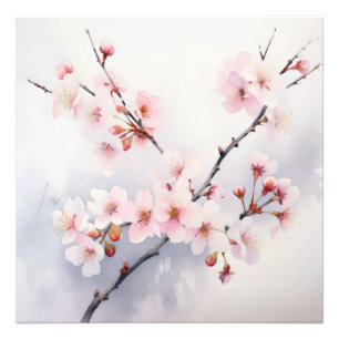 Sakura Blooming Branch Fotodruck