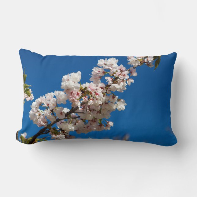 Sakura blühen lendenkissen (Vorderseite)