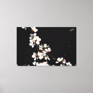 Sakura-Blume Leinwanddruck