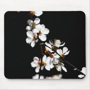 Sakura-Blume Mousepad