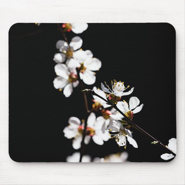 Sakura-Blume Mousepad (Vorne)