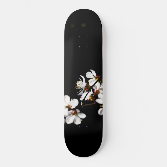 Sakura-Blume Skateboard (Vorderseite)