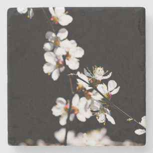Sakura-Blume Steinuntersetzer