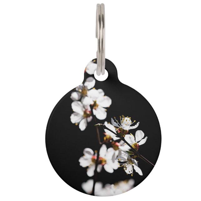 Sakura-Blume Tiermarke (Vorderseite)